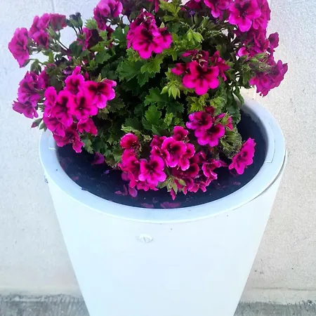 Casa Nonna Anna * Manfredonia