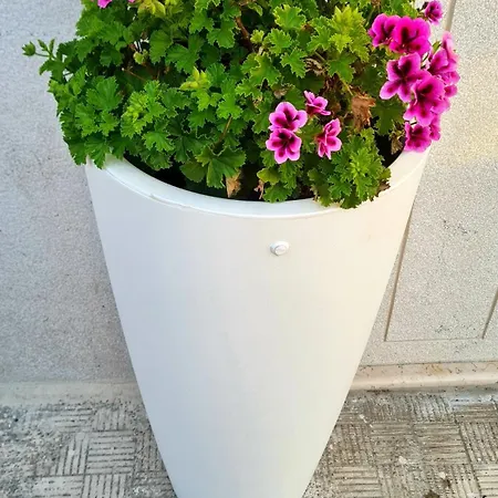 펜션 Casa Nonna Anna 만프레도니아