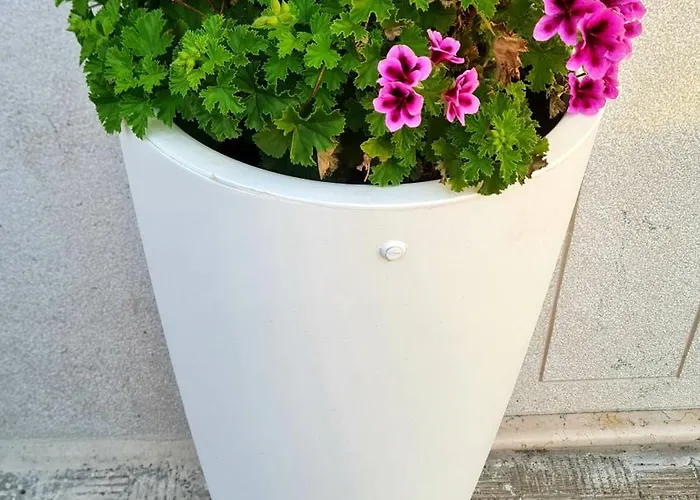 Hébergement de vacances Casa Nonna Anna Manfredoine